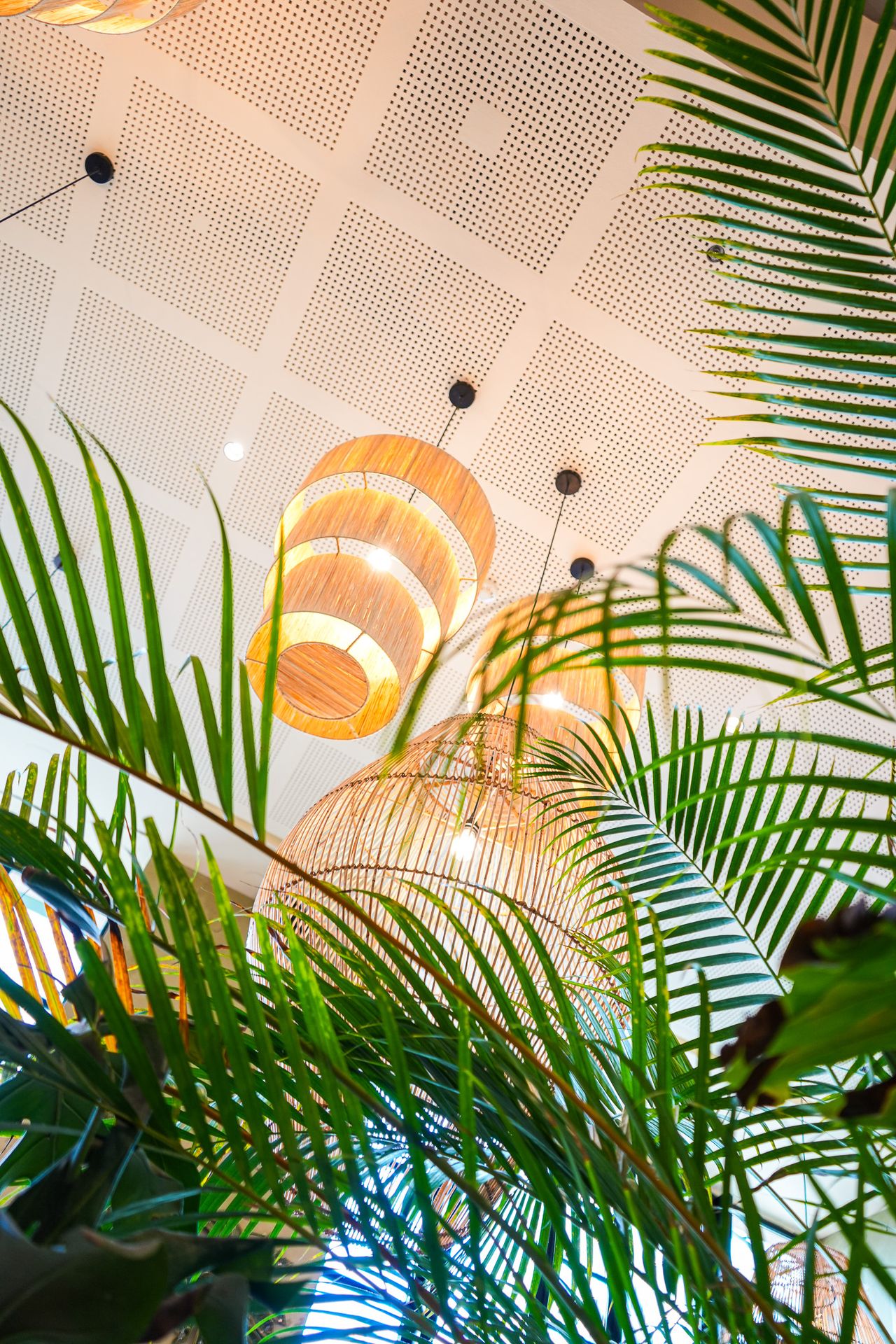 Urban Oasis Serra